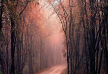 2025中国业余高尔夫球队际公开赛启幕.