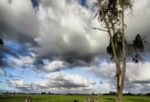 奇异果体育：2025年保定马拉松：十万跑者的狂欢密码.