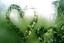 10年婚姻终结阿媒：伊卡尔迪与旺达正式离婚，旺达通奸被坐实.