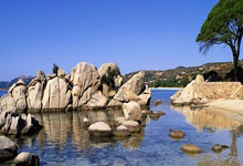 奇异果体育：2024年意甲各队经纪人佣金总收入超2.26亿欧元：尤文最高国米次之.